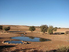 Beautiful Kalahari